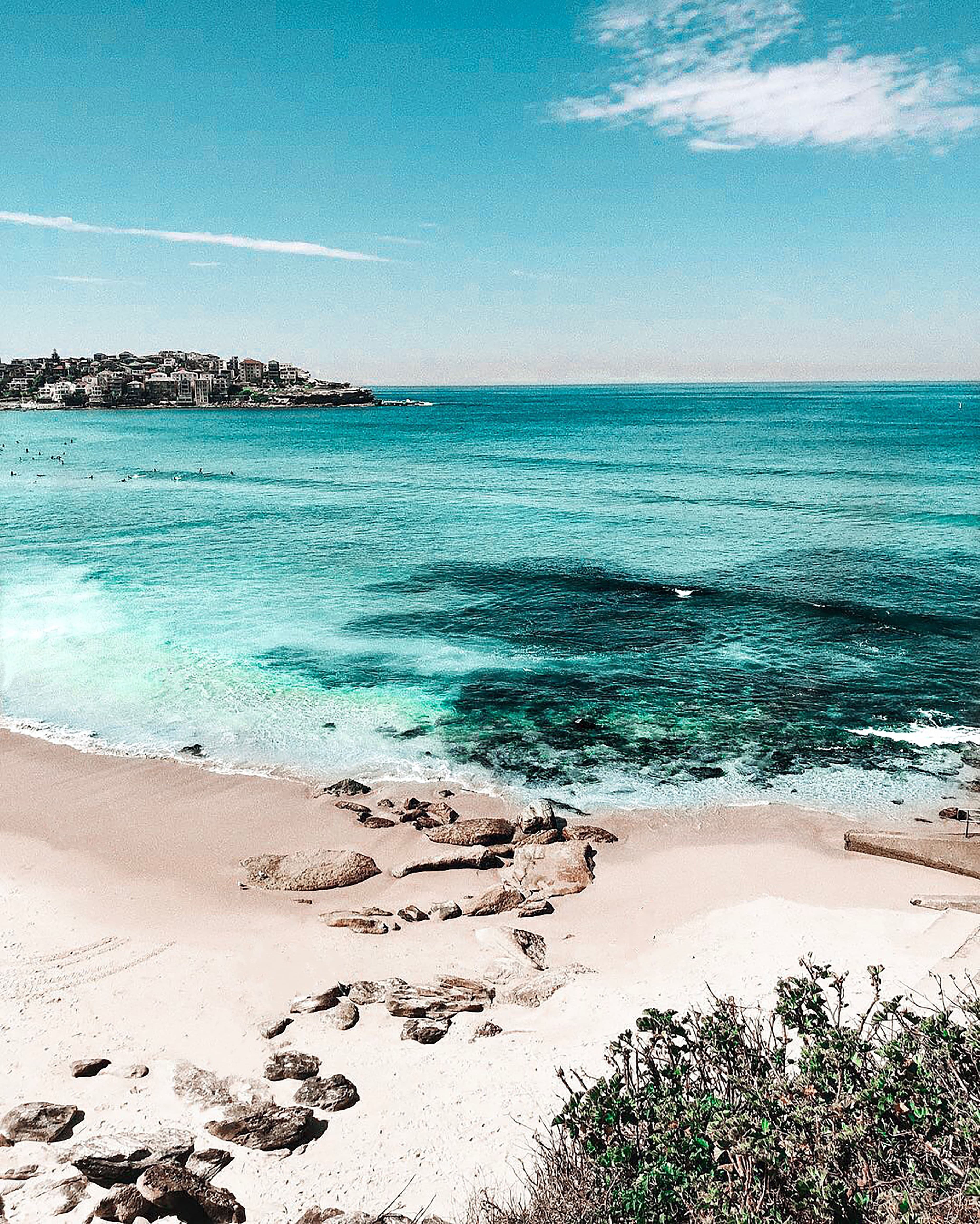 Bondi beach and coastal path