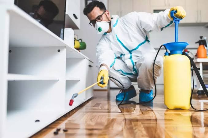 Clean, pest-free interior